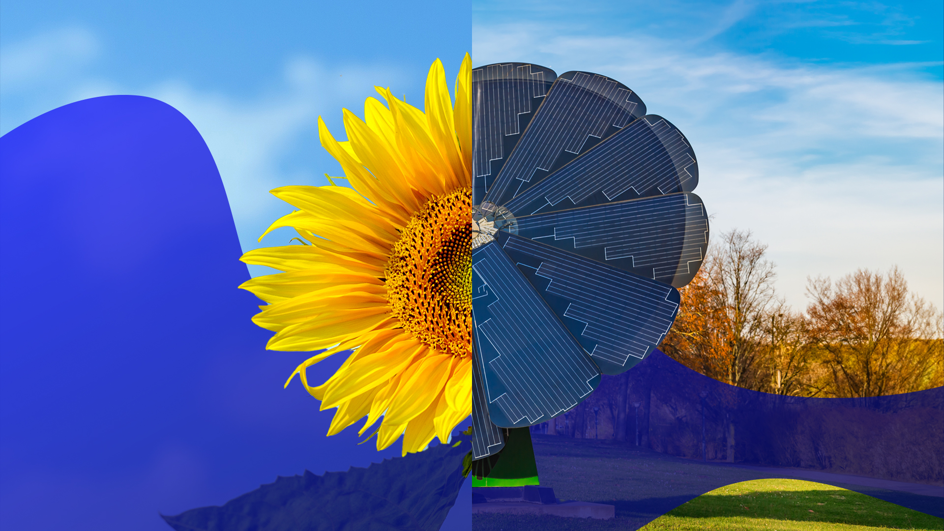 CitiusTech Joins UN Global Compact, Strengthens Commitment to Sustainable Healthcare Innovations